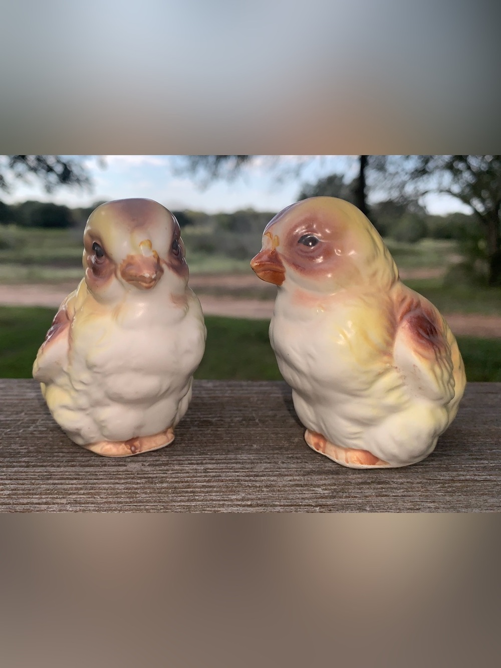 Vintage Lefton Porcelain Baby Chicks Salt & Pepper Shakers Set Japan MCM